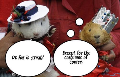 Guinea Pig Birthday Party