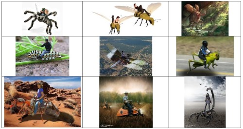 Insect Rider Collage Resized, Spider Rider, Bee Rider, Beetle Rider, Caterpillar Rider, Dragonfly Rider, Grasshopper Rider, Ant Rider, Lady Bug Rider, Scorpion Rider