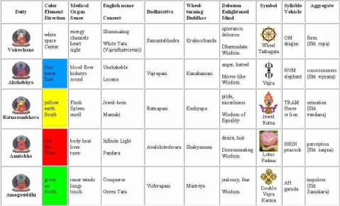 Five Buddhas, Deity, Color, Element, Direction, Sense, Medical, Organ, English name, Consort, Bodhisattva, Wheel-turning Buddhas, Delusion, Enlightened Mind, Symbol, Syllable, Vehicle, Aggregate, Vairochana, white, space, Center, sight, energy channels, heart, Illuminating, White Tara, Vajradhatvisvari, Samantabhadra, Krakucchanda, ignorance, delusion, All-encompassing, Dharmadatu, Wisdom, Wheel, Tathagata, OM, dragon, form, rupa, Sanskrit, Akshobhya, blue, water, East, sound, blood flow, kidneys, Unshakable, Locana, Vajrapani, Kanakamuni, anger, hatred/, Mirror-like, Wisdom, Vajra, HUM, elephant, consciousness, vijnana, Ratnasambhava, yellow, earth, South, smell, Flesh, spleen, Jewel-born, Mamaki, Ratnapani, Kashyapa, pride, miserliness, Wisdom of Equality, Jewel, Ratna, TRAM, Horse, lion, sensation, vendana, Amitabha, red, fire, West, taste, body, heat, liver, Infinite Light, Pandara, Avalokiteshvara, Shakyamuni, desire, lust, Discriminating, Wisdom, Lotus, Padma, HRIH, peacock, perception, sanjna, Amogasiddhi, green, air, North, touch, inner winds, lungs, Conqueror, Green, Tara, Vishvapani, Maitreya, jealousy, fear, All-accomplishing Wisdom, Double Vajra, Karma, AH, garuda, impulses, Samskara
