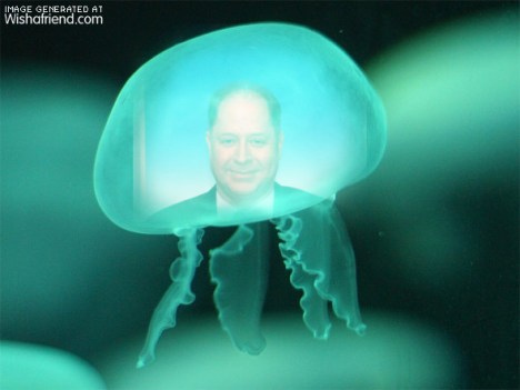 Hugh Fox Blue Water Jelly