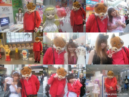 Werefox in Akihabara