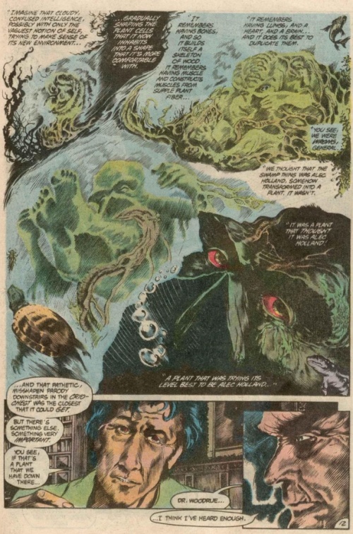 4 Swamp Thing V2 #21 - Page 13