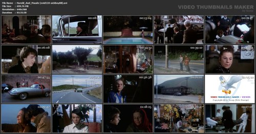 0Harold_And_Maude.Thumbnails