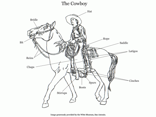 8.1Cowboy Vocabulary 1