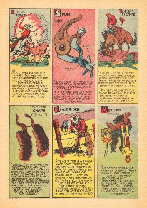 8.1Cowboy Vocabulary 2