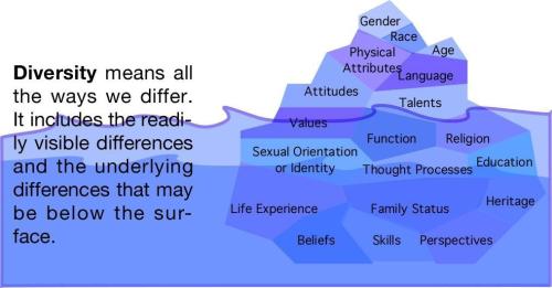 Halls Iceberg Model of Culture