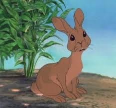 Fiver in Watership Down