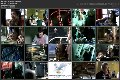 Amores Perros Thumbnail