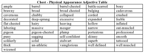 Chest - Physical Appearance Adjective Table
