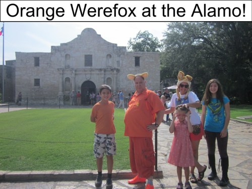 Orange Werefox in San Antonio 2
