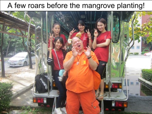 Orange Werefox Planting Mangroves 1