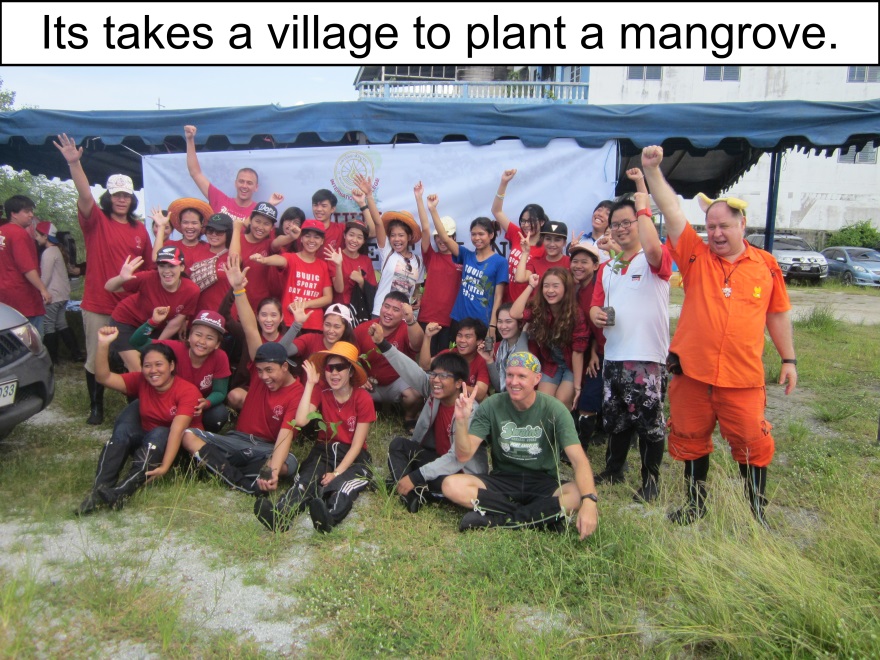 Orange Werefox Planting Mangroves 2