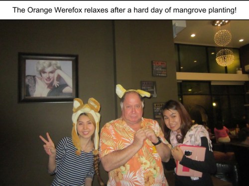 Orange Werefox Planting Mangroves 4