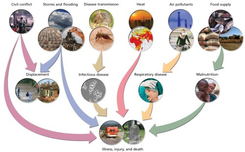 12.1) Climate Change Impacts