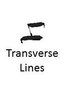 Palmistry-Transverse