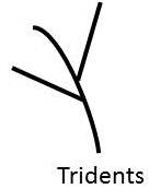 Palmistry-Tridents