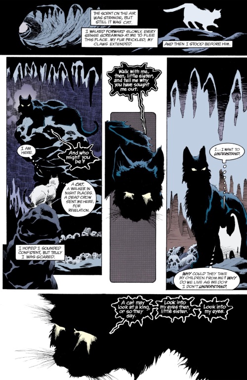 Abstract Entities 2-The Sandman-Dream Country V3 (2010) (Vertigo)