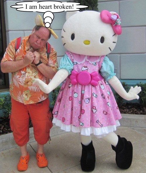 The Orange Werefox Meets Hello Kitty 4