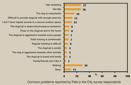 Pets in the City-Graph-Common Problems