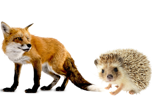 fox-and-hedgehog