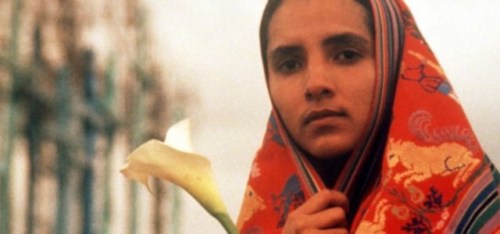 zaide-silvia-gutierrez-as-rosa-xuncax